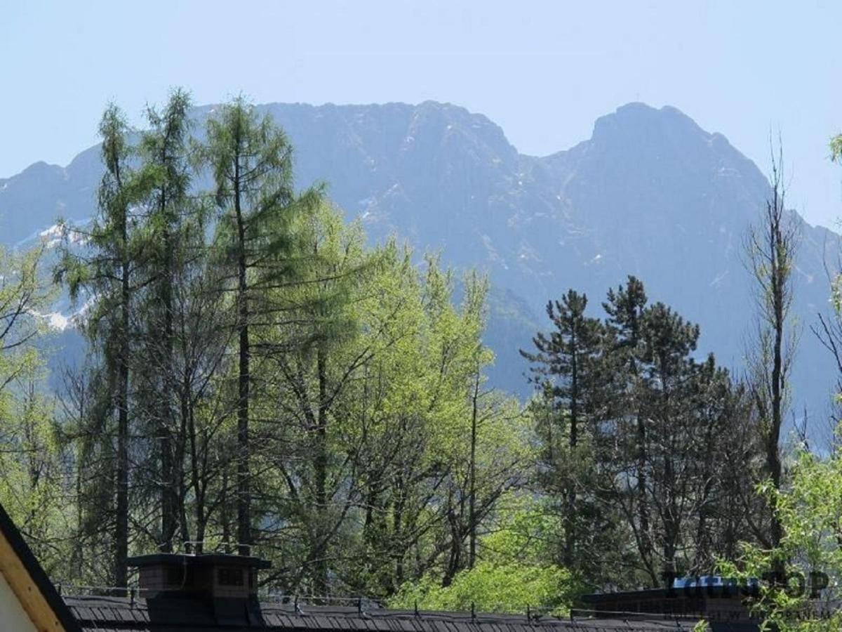Tatrytop Apartamenty Kaszelewski Zakopane Eksteriør billede